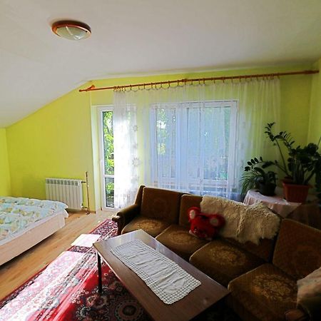 Agroturystyka Tyniok Koniaków Kültér fotó